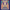Jazz Fest - Web Page Graphic - June 25