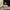 PXL_20230831_201813649.PORTRAIT