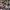 Philadelphia Orchestra PlayIN 2018_EMiller-03