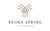 keuka-spring-vineyards-logo keuka spring vineyards