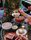 Boozy_Bundt_Cake_06