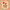 Web Graphic_1080x1080