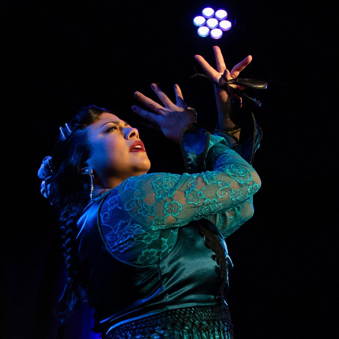 flamenco dancer