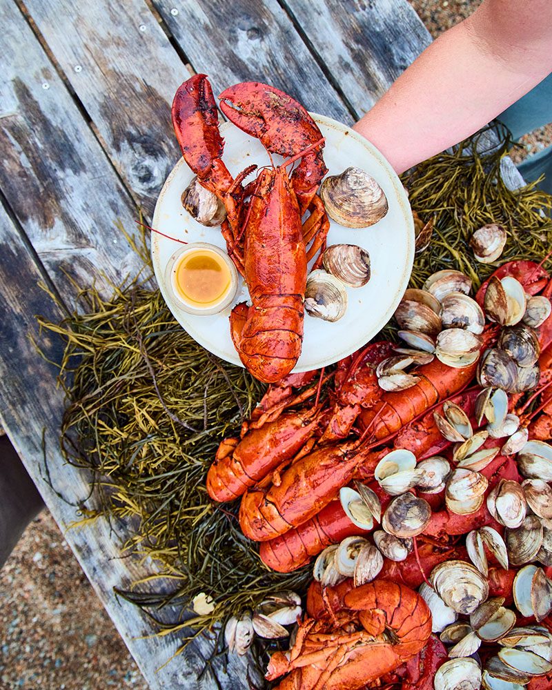 lobster and clams on a plate