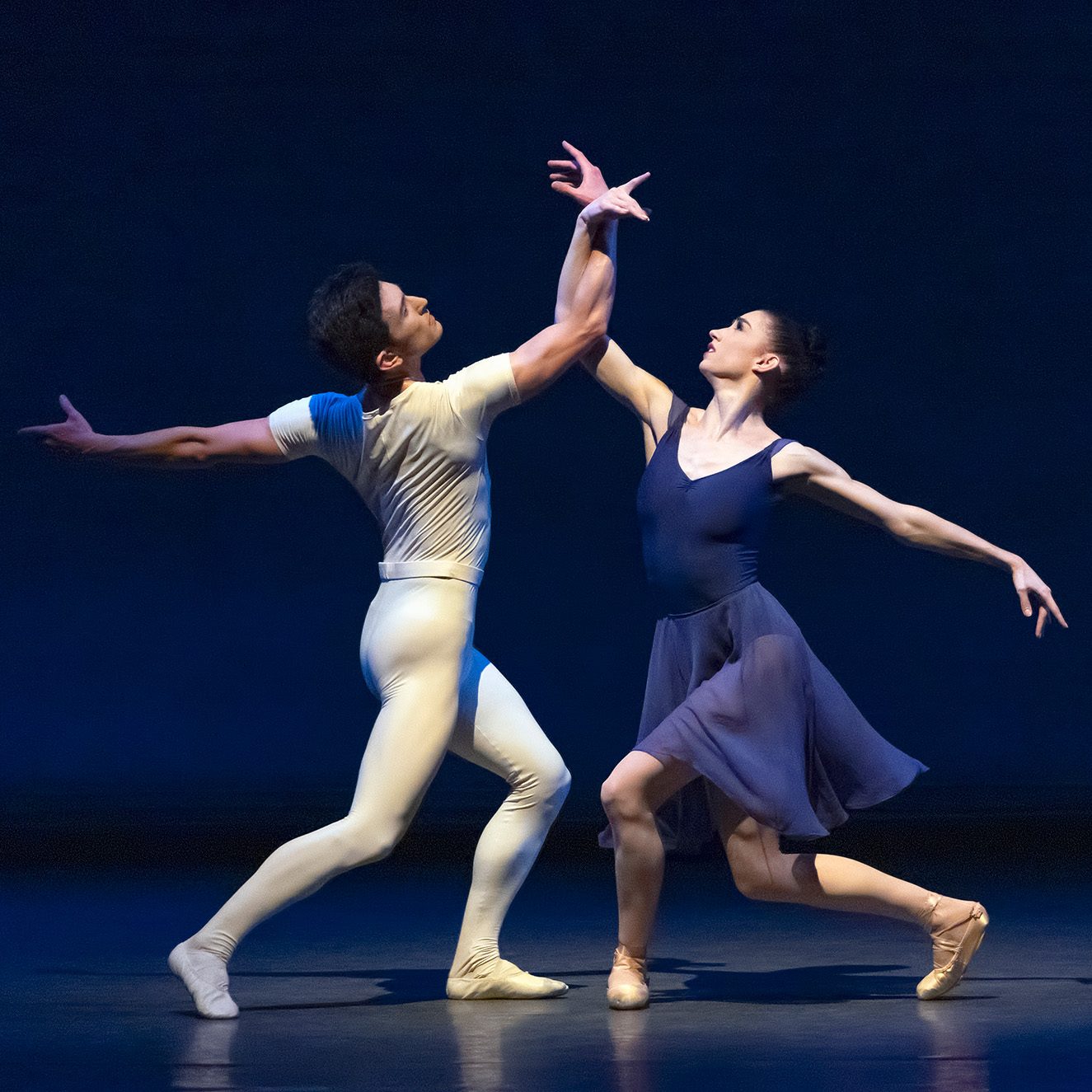 new york city ballet performing opus 19/the dreamer