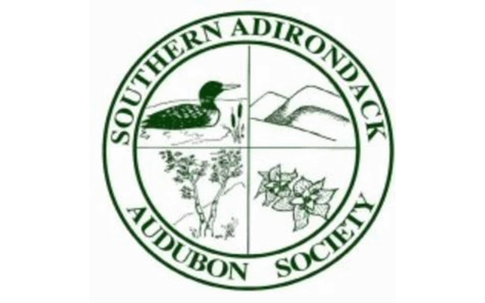 southern adirondack audubon society